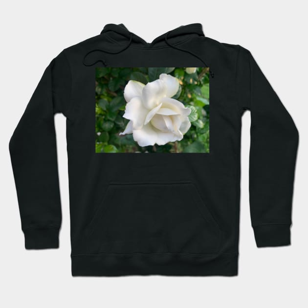 Gardenia flower Hoodie by baksuart